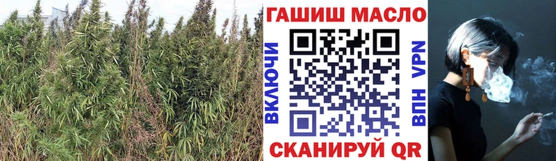 Купить где  Горбатов  ТГК вейп 